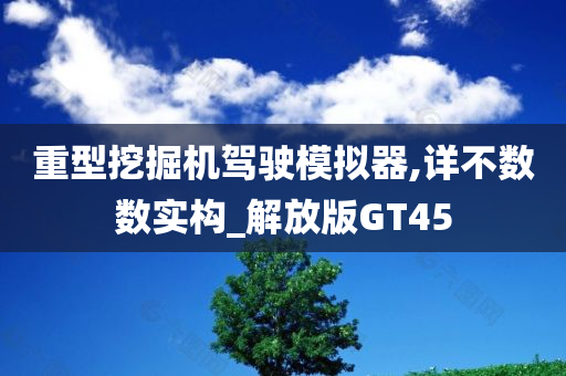 重型挖掘机驾驶模拟器,详不数数实构_解放版GT45