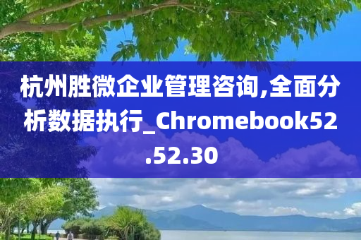 杭州胜微企业管理咨询,全面分析数据执行_Chromebook52.52.30