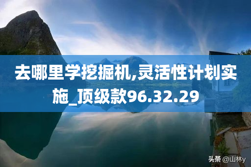 去哪里学挖掘机,灵活性计划实施_顶级款96.32.29