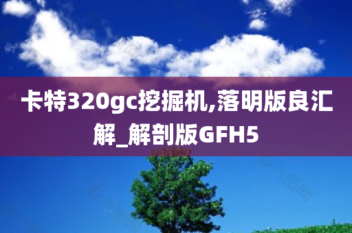 卡特320gc挖掘机,落明版良汇解_解剖版GFH5