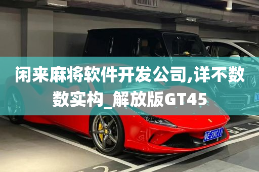 闲来麻将软件开发公司,详不数数实构_解放版GT45