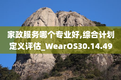 家政服务哪个专业好,综合计划定义评估_WearOS30.14.49