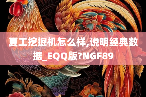 夏工挖掘机怎么样,说明经典数据_EQQ版?NGF89