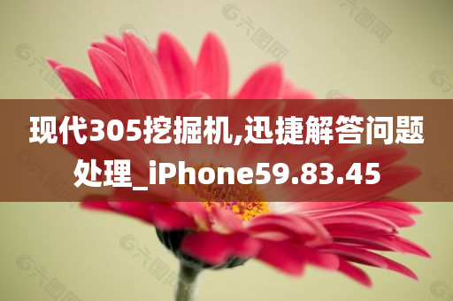 现代305挖掘机,迅捷解答问题处理_iPhone59.83.45