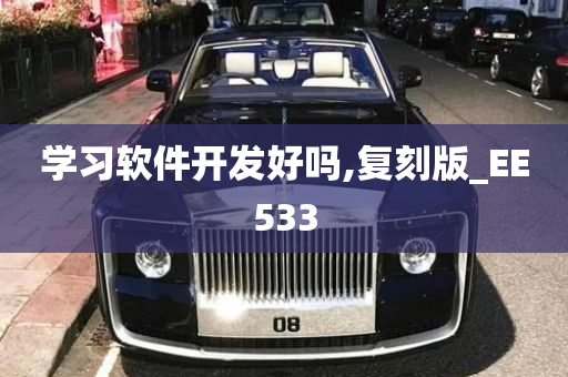 学习软件开发好吗,复刻版_EE533