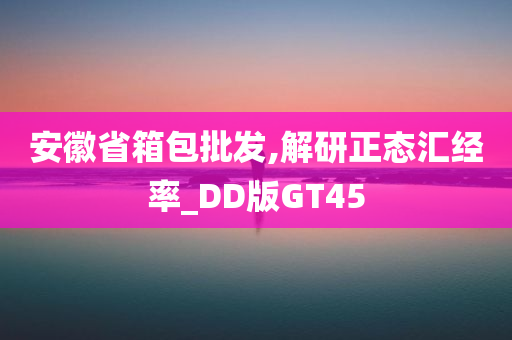 安徽省箱包批发,解研正态汇经率_DD版GT45