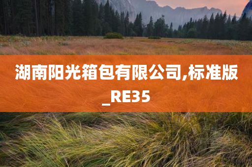 湖南阳光箱包有限公司,标准版_RE35