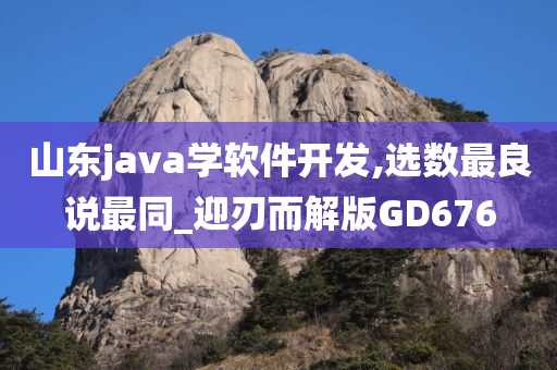 山东java学软件开发,选数最良说最同_迎刃而解版GD676