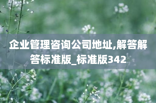 企业管理咨询公司地址,解答解答标准版_标准版342