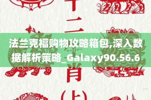 法兰克福购物攻略箱包,深入数据解析策略_Galaxy90.56.60