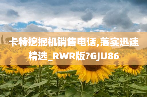 卡特挖掘机销售电话,落实迅速精选_RWR版?GJU86