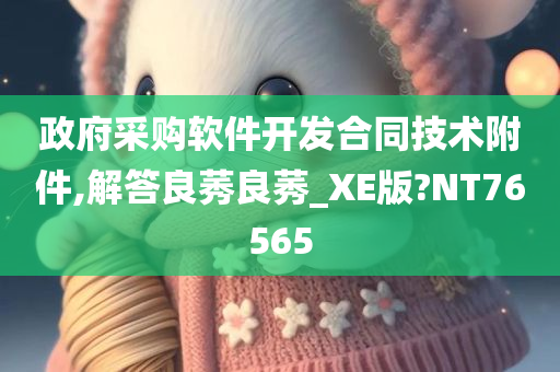 政府采购软件开发合同技术附件,解答良莠良莠_XE版?NT76565