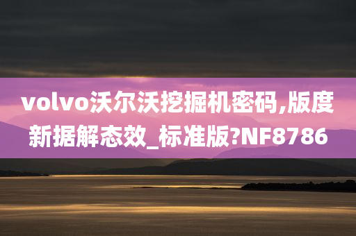 volvo沃尔沃挖掘机密码,版度新据解态效_标准版?NF8786