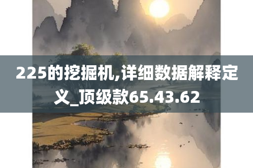 225的挖掘机,详细数据解释定义_顶级款65.43.62