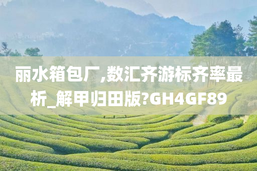 丽水箱包厂,数汇齐游标齐率最析_解甲归田版?GH4GF89