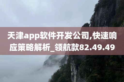 天津app软件开发公司,快速响应策略解析_领航款82.49.49