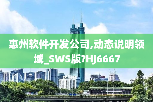 惠州软件开发公司,动态说明领域_SWS版?HJ6667