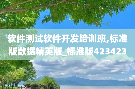 软件测试软件开发培训班,标准版数据精英版_标准版423423