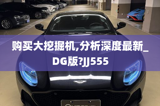 购买大挖掘机,分析深度最新_DG版?JJ555