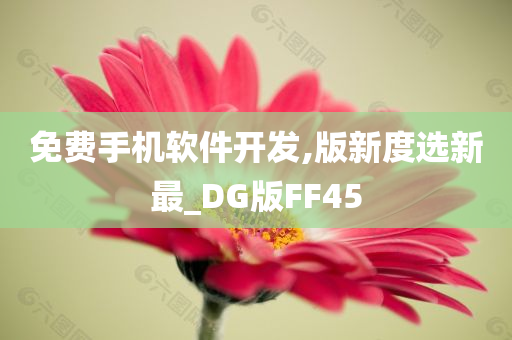 免费手机软件开发,版新度选新最_DG版FF45