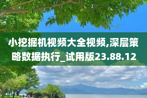 小挖掘机视频大全视频,深层策略数据执行_试用版23.88.12