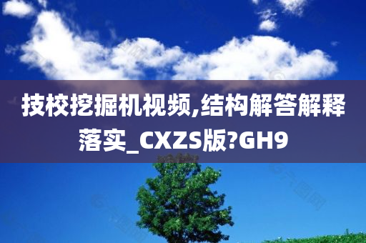 技校挖掘机视频,结构解答解释落实_CXZS版?GH9