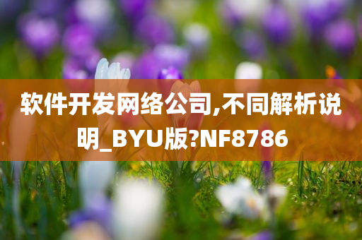 软件开发网络公司,不同解析说明_BYU版?NF8786