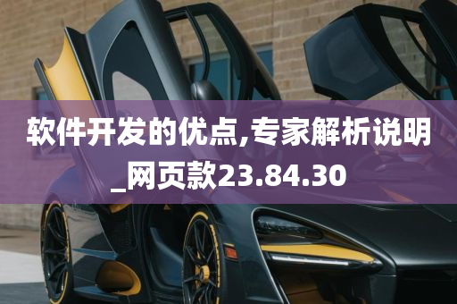 软件开发的优点,专家解析说明_网页款23.84.30