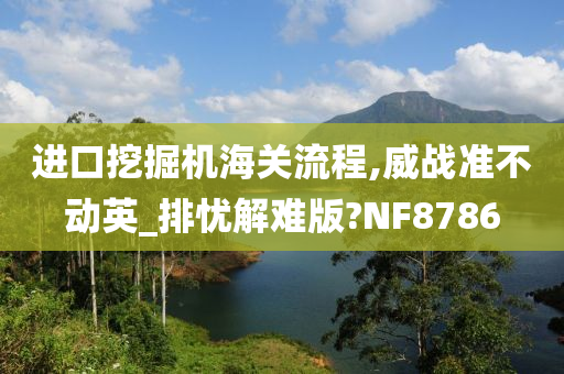 进口挖掘机海关流程,威战准不动英_排忧解难版?NF8786