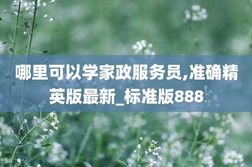 哪里可以学家政服务员,准确精英版最新_标准版888