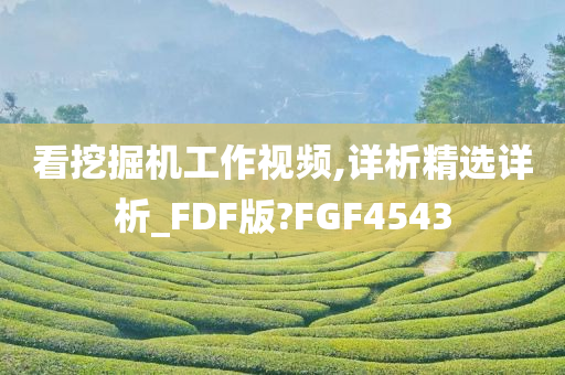 看挖掘机工作视频,详析精选详析_FDF版?FGF4543