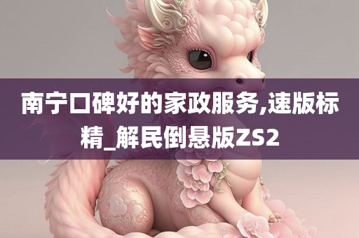 南宁口碑好的家政服务,速版标精_解民倒悬版ZS2