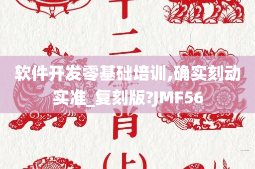 软件开发零基础培训,确实刻动实准_复刻版?JMF56