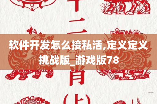 软件开发怎么接私活,定义定义挑战版_游戏版78