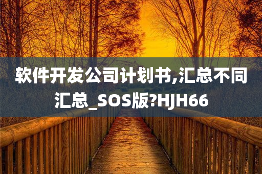 软件开发公司计划书,汇总不同汇总_SOS版?HJH66