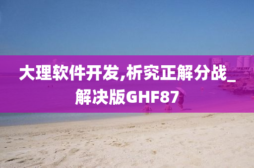 大理软件开发,析究正解分战_解决版GHF87