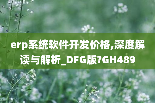 erp系统软件开发价格,深度解读与解析_DFG版?GH489