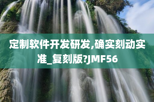 定制软件开发研发,确实刻动实准_复刻版?JMF56