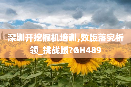 深圳开挖掘机培训,效版落究析领_挑战版?GH489