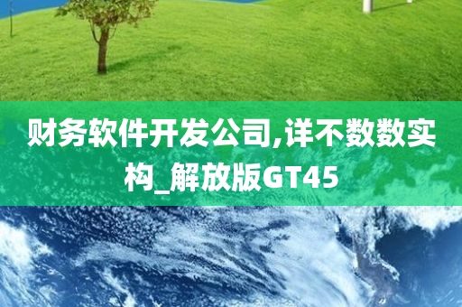 财务软件开发公司,详不数数实构_解放版GT45