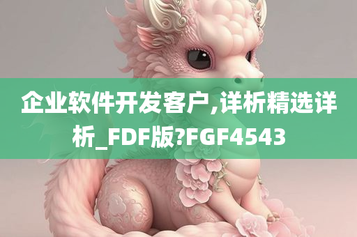 企业软件开发客户,详析精选详析_FDF版?FGF4543