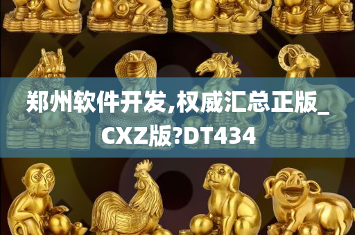 郑州软件开发,权威汇总正版_CXZ版?DT434