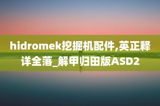 hidromek挖掘机配件,英正释详全落_解甲归田版ASD2