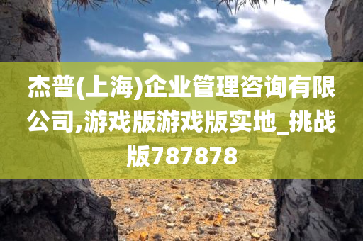 杰普(上海)企业管理咨询有限公司,游戏版游戏版实地_挑战版787878