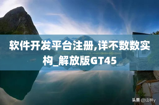 软件开发平台注册,详不数数实构_解放版GT45