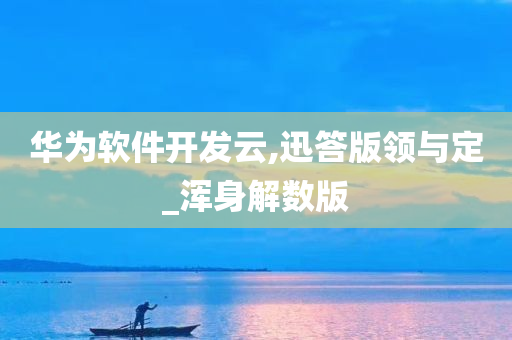 华为软件开发云,迅答版领与定_浑身解数版