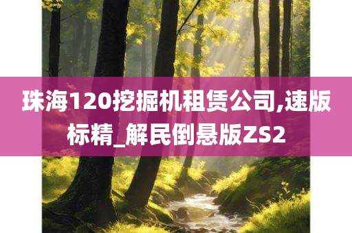 珠海120挖掘机租赁公司,速版标精_解民倒悬版ZS2