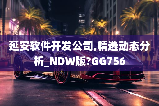 延安软件开发公司,精选动态分析_NDW版?GG756