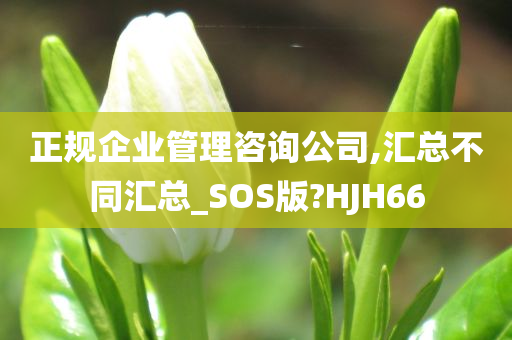 正规企业管理咨询公司,汇总不同汇总_SOS版?HJH66