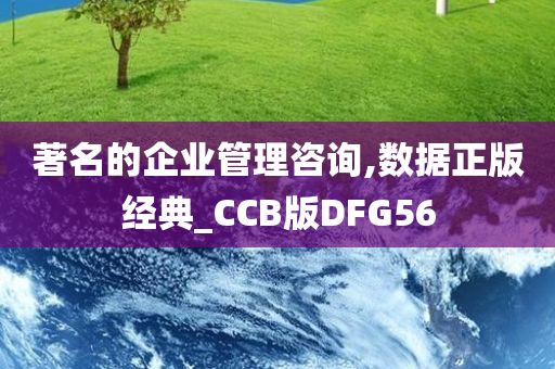 著名的企业管理咨询,数据正版经典_CCB版DFG56